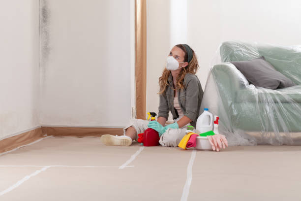 Reliable Mold Removal contractor in Lynnwood, WA by WQB Mold Removal
